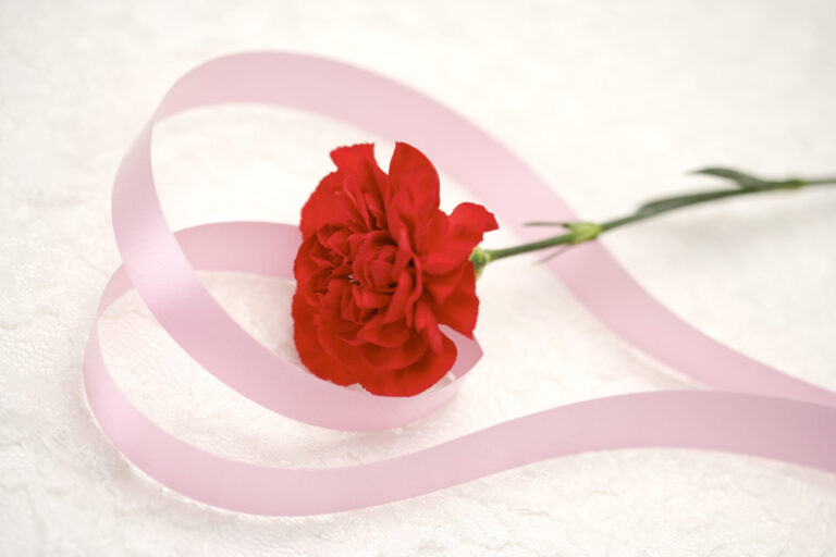 5月7日～5月10日限定　<br>母の日プランのご案内<br>　　　　　　表示