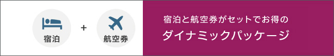 ダイナミックパッケージ