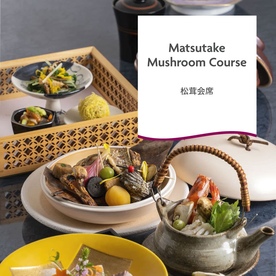 博多のランチ ディナー レストラン バー Anaクラウンプラザホテル福岡