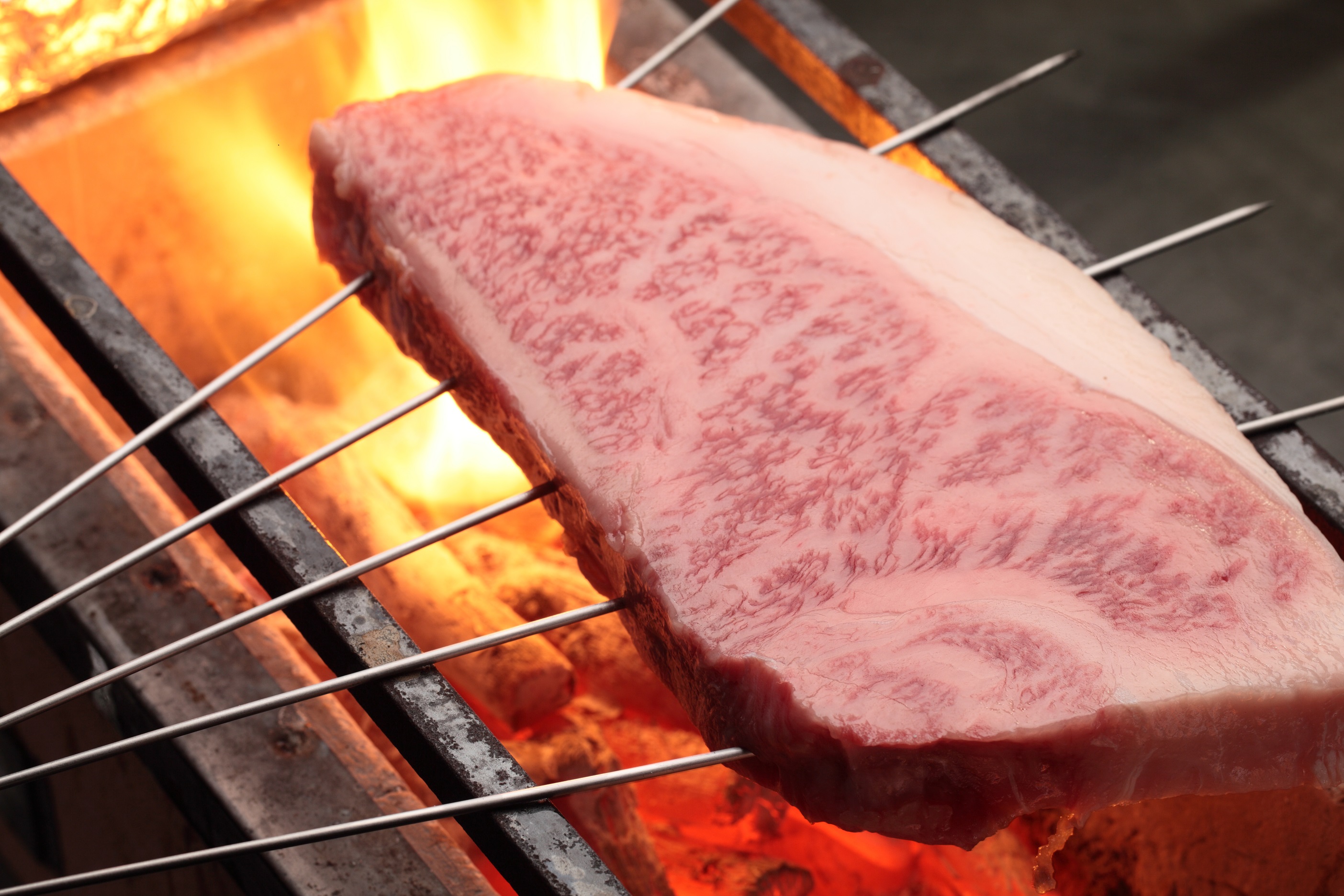 特撰和牛炭火焼コース
